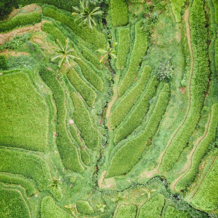 Outdoor terrace seating suitable for families in London